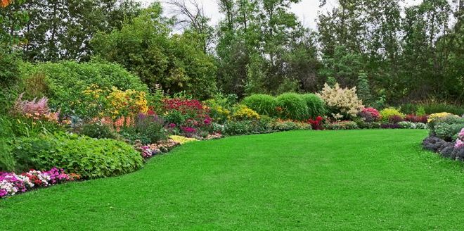 Green Lawn Care And Landscape Edukasi, Green Lawn Care And Landscape Boise